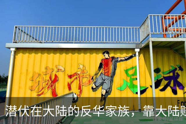潜伏在大陆的反华家族，靠大陆赚了上亿，国家制裁后如今怎样了？